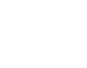 Black & Ramer Insurance LLC - Logo Icon White
